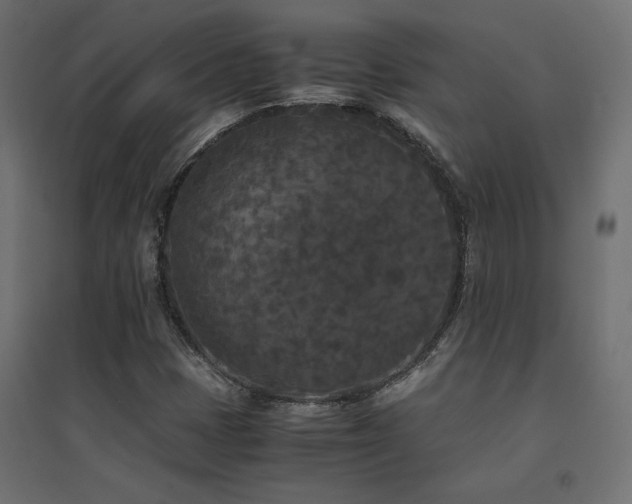 X0000094911401200711291245