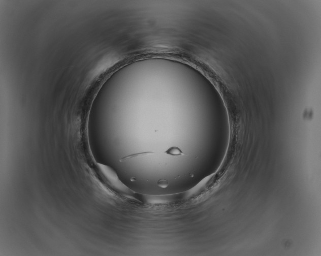 X0000094911402200711291245