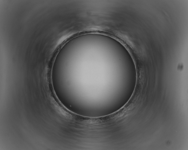 X0000094911404200711291245