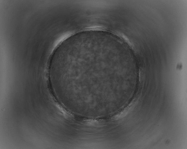X0000094911405200711291245