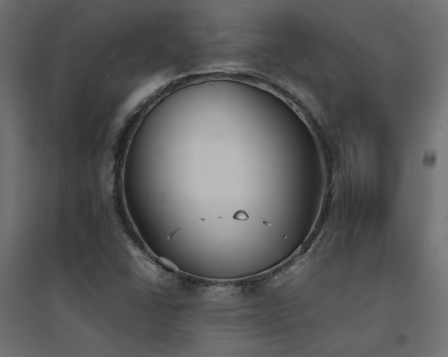 X0000094911406200711291245