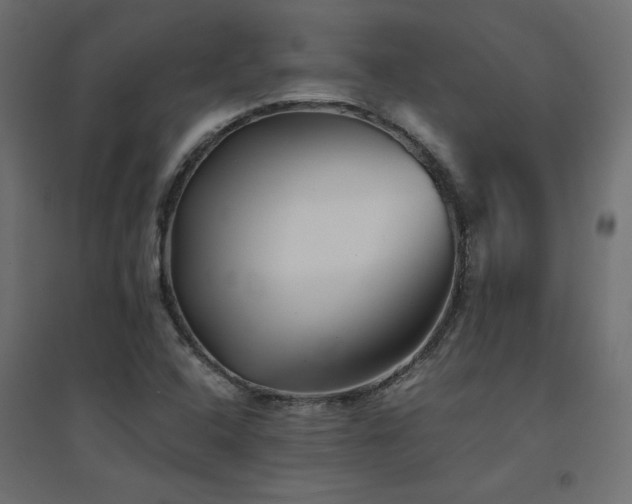 X0000094911408200711291245