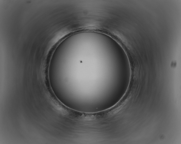 X0000094911410200711291245