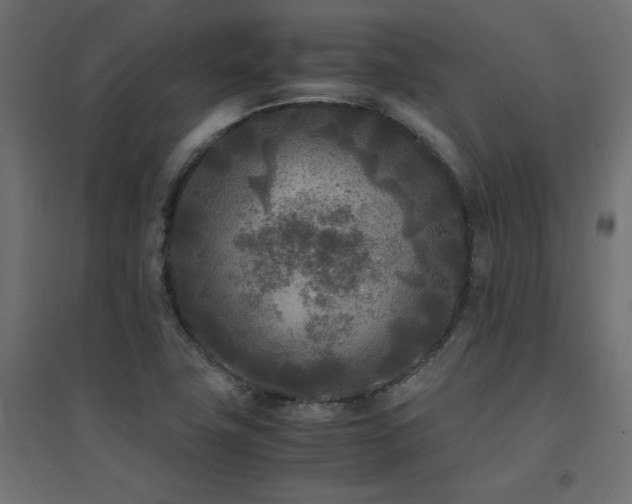 X0000094911411200711291245