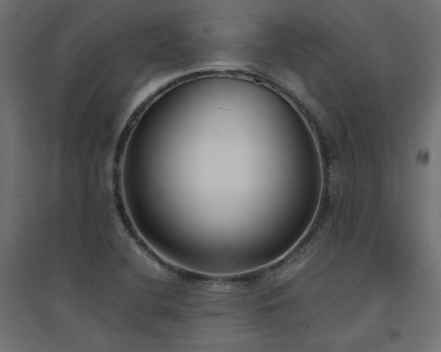 X0000094911412200711291245