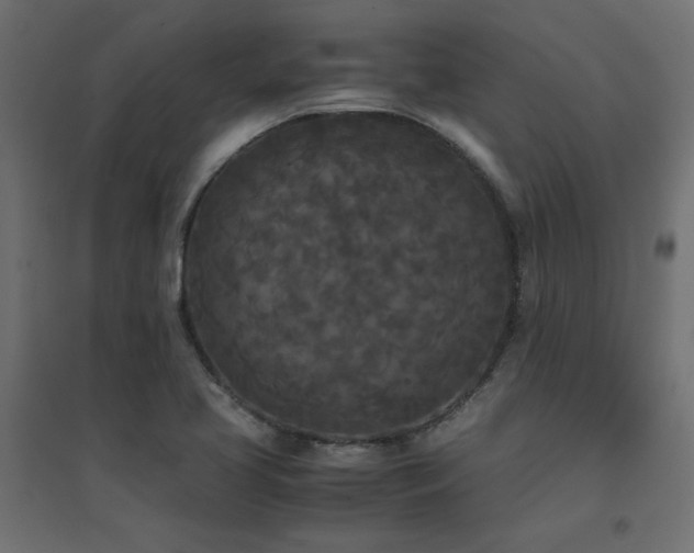 X0000094911413200711291245