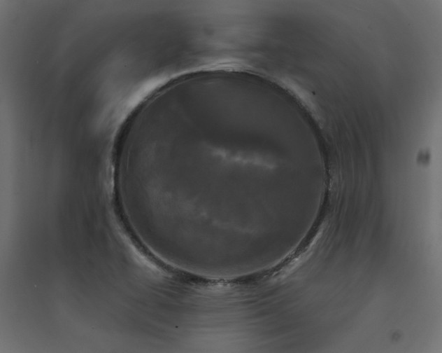 X0000094911414200711291245