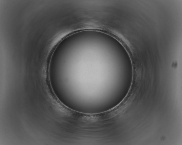 X0000094911415200711291245