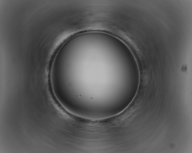X0000094911416200711291245