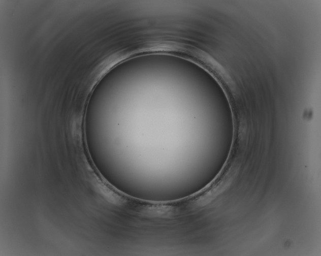 X0000094911417200711291245
