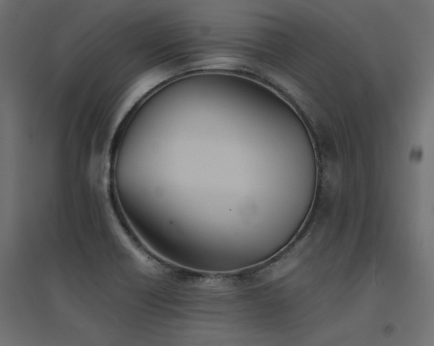 X0000094911418200711291245