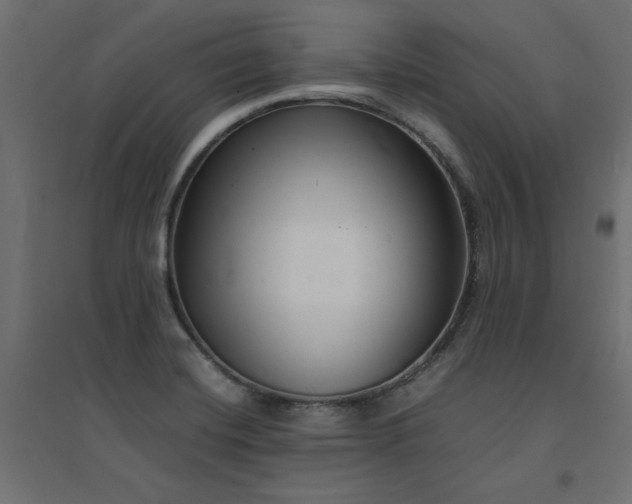 X0000094911420200711291245