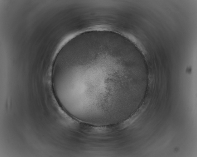 X0000094911421200711291245