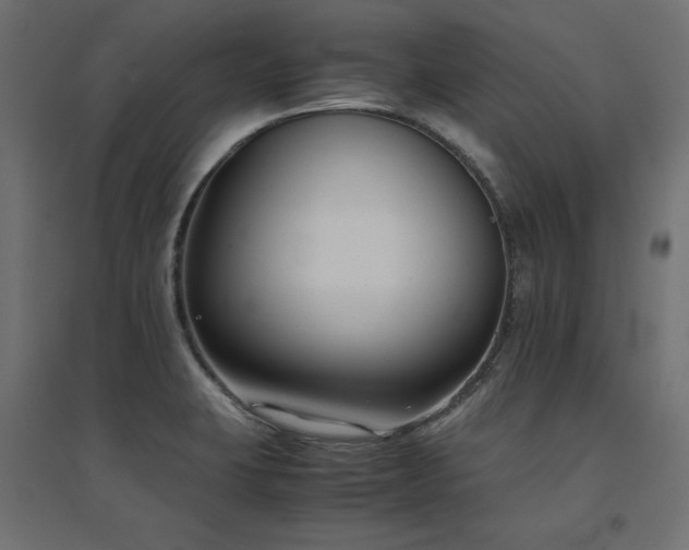 X0000094911423200711291245
