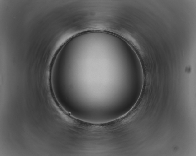 X0000094911424200711291245