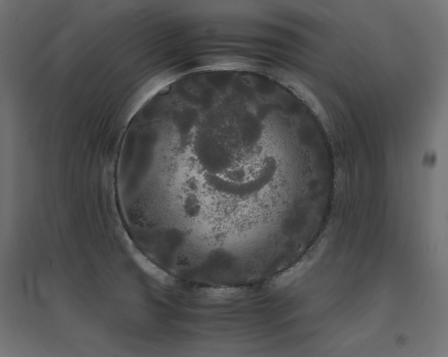 X0000094911425200711291245