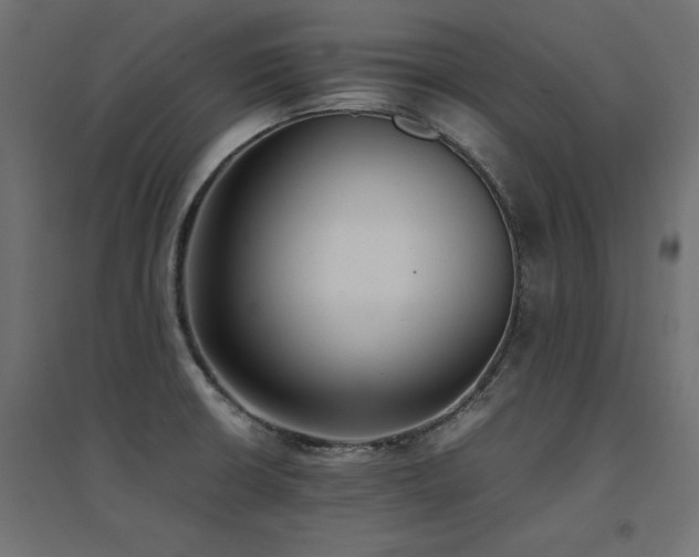 X0000094911426200711291245