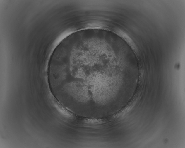 X0000094911427200711291245