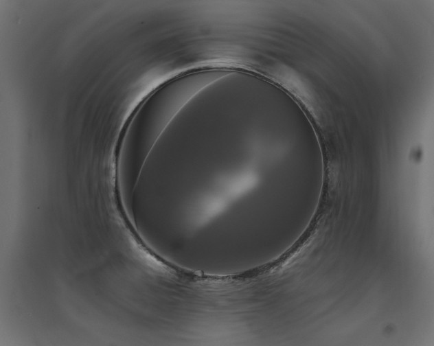 X0000094911428200711291245