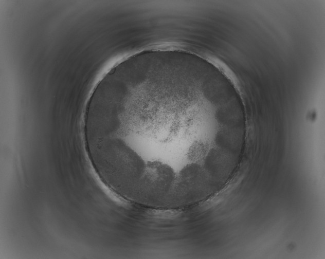 X0000094911429200711291245