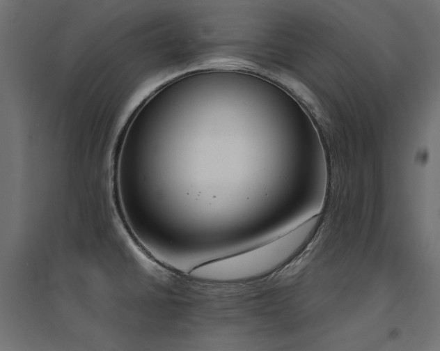 X0000094911430200711291245