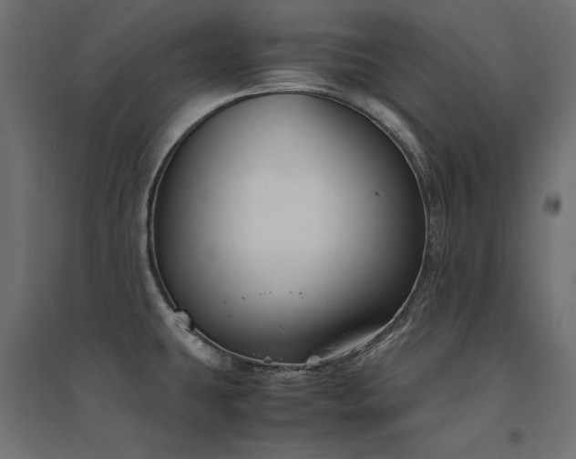 X0000094911431200711291245