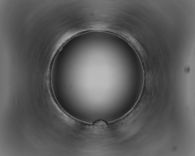 X0000094911432200711291245