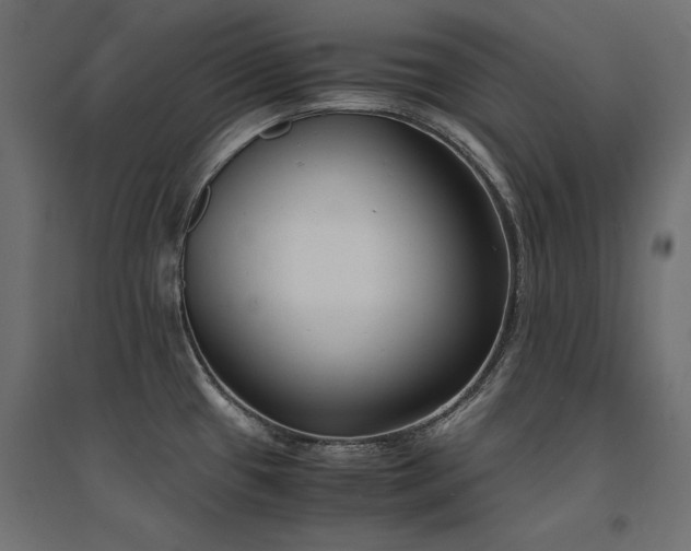 X0000094911433200711291245
