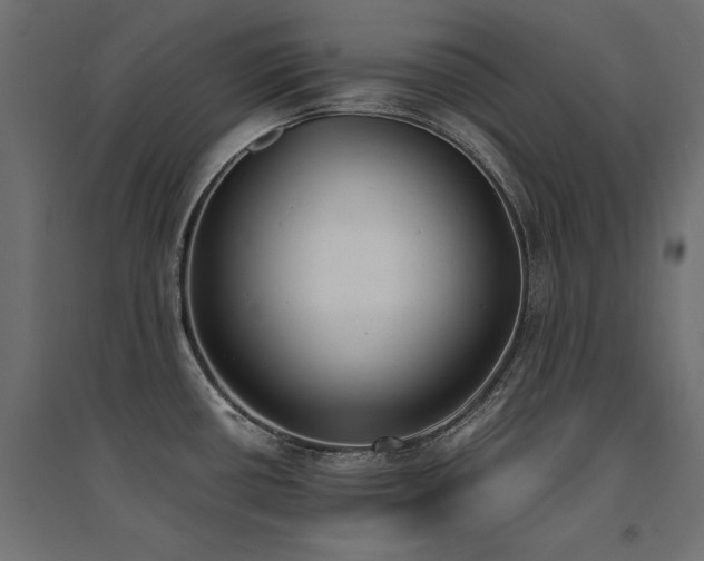 X0000094911434200711291245