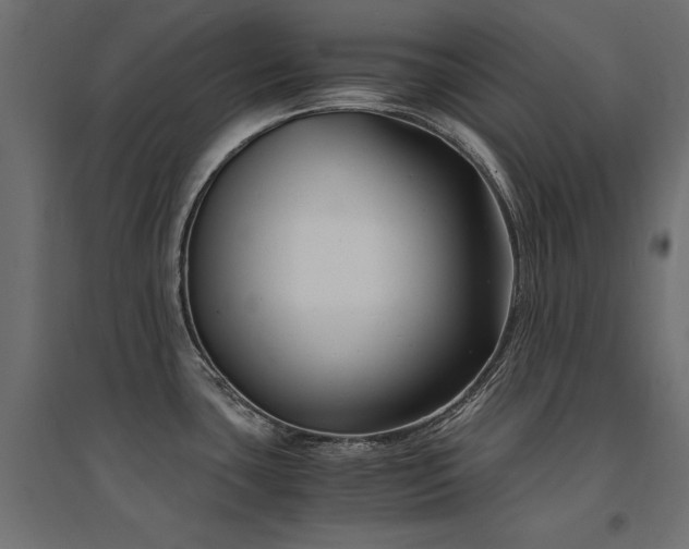 X0000094911435200711291245