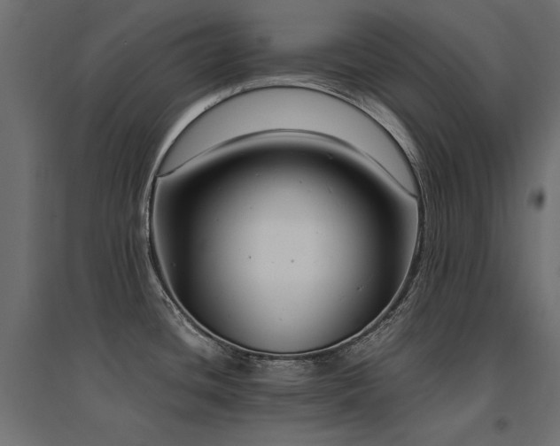X0000094911436200711291245