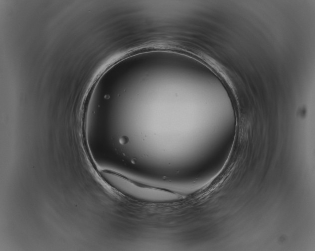 X0000094911437200711291245