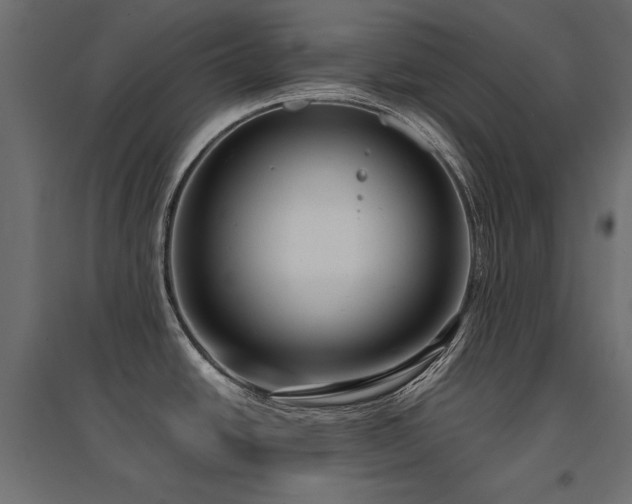 X0000094911438200711291245