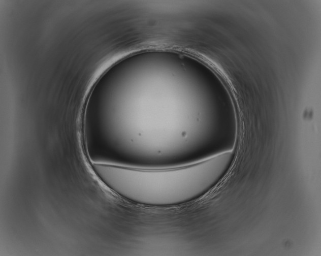 X0000094911440200711291245