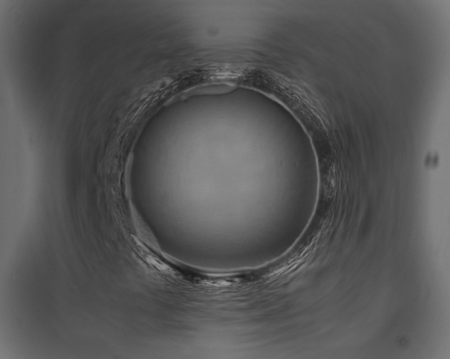 X0000094911441200711291244