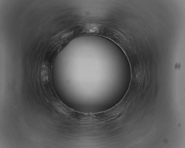 X0000094911442200711291244