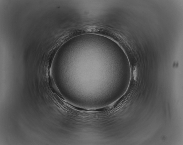 X0000094911444200711291244