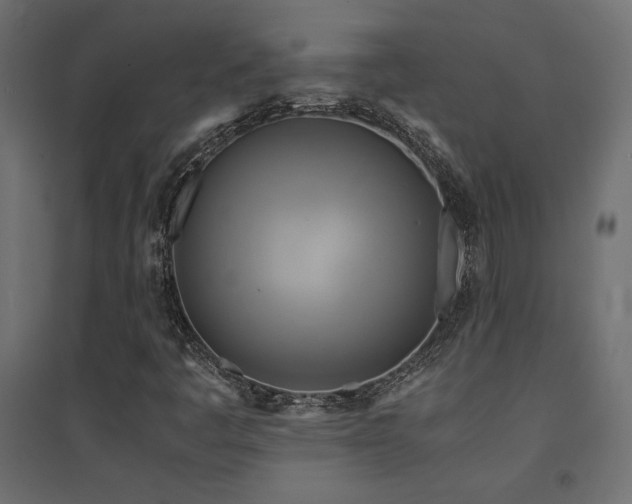 X0000094911445200711291244