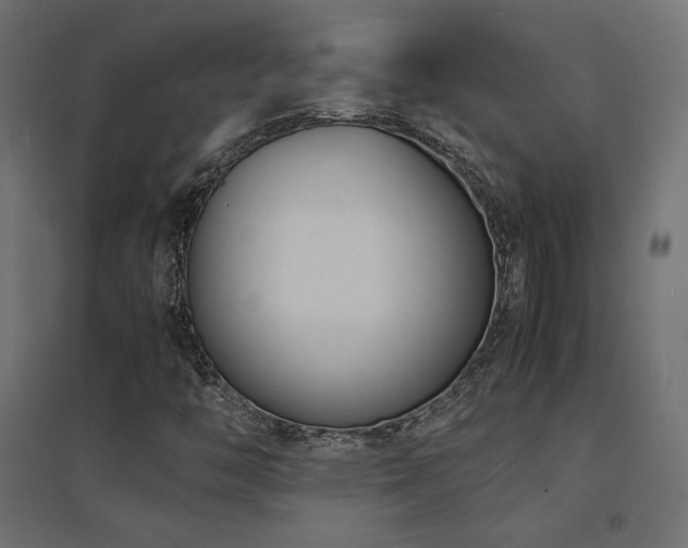 X0000094911446200711291244
