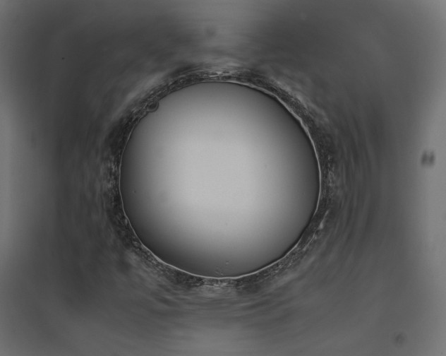 X0000094911447200711291244