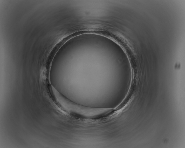 X0000094911449200711291244