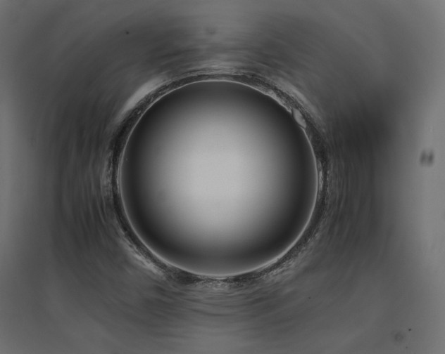 X0000094911450200711291244