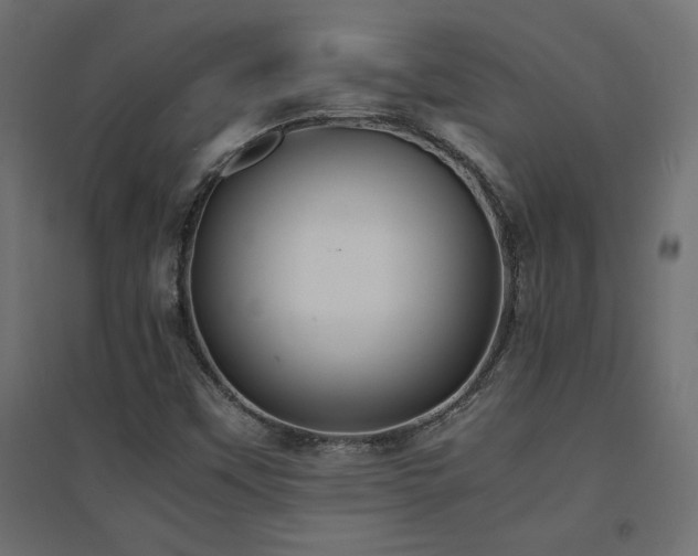 X0000094911451200711291244