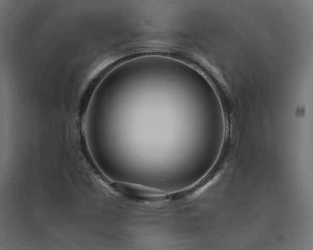 X0000094911453200711291244