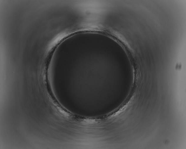 X0000094911455200711291244