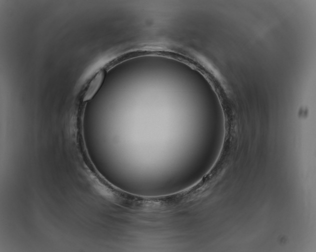 X0000094911456200711291244