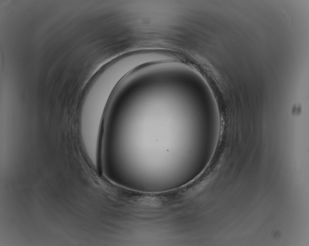 X0000094911457200711291244