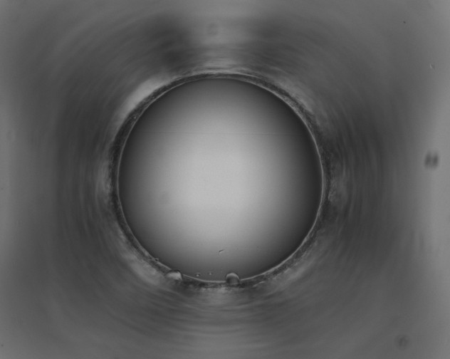 X0000094911458200711291244