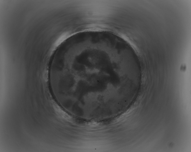 X0000094911459200711291244