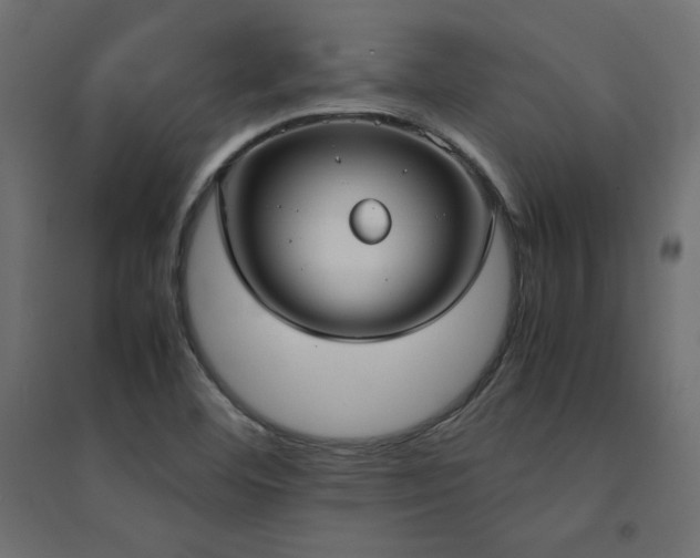 X0000094911460200711291244